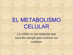 Metabolismo Celular