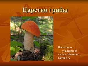 Презентация учащихся грибы