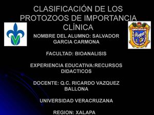 CLASIFICACIÓN DE LOS PROTOZOOS