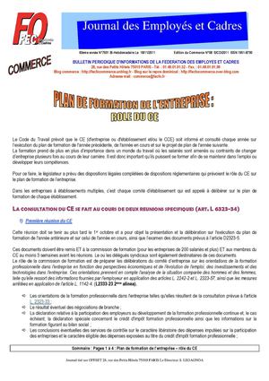 JEC - Plan de Formation en entreprise - rôle du CE