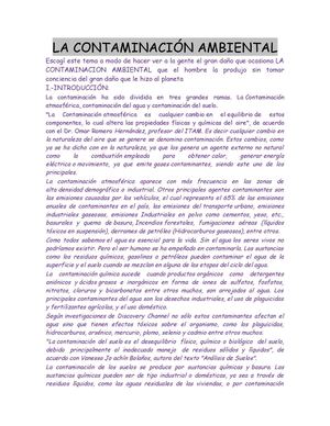 La contaminación ambiental