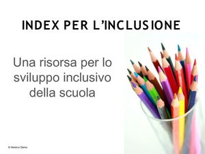 Progetto di ricerca Index per l'inclusione (Heidrun Demo)