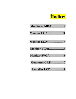 Evolucion del Monitor
