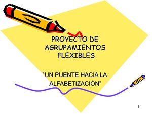 PROYECTO DE AGRUPAMIENTOS