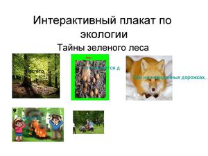 Тайны зеленого леса1
