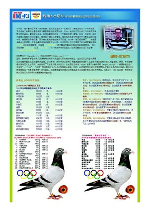 Davy Tournelle Chinese