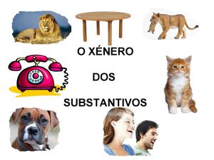 Formación do feminino, o xénero