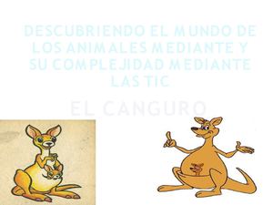 canguro