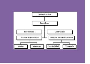 ORGANIGRAMA HISTORIA