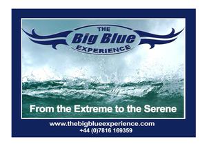The Big Blue Experience Brochure
