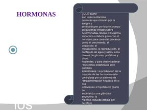 Trabajo sobre Hormonas*wwww* 