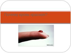 Почему кровь красная презентация
