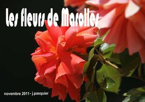 Les Fleurs de Marolles