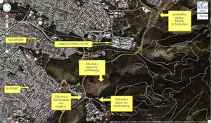 Αναδάσωση 2011 - LFHED