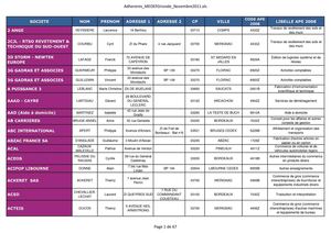 Adhérents MEDEF Gironde_Novembre2011