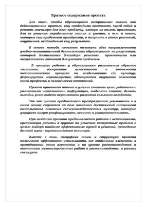 Краткое содержание проекта