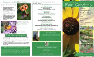 Kentucky, Lexington Fayette Urban County: Rain Gardens Brochure