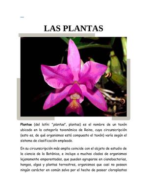 las plantas