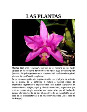 LAS PLANTAS 