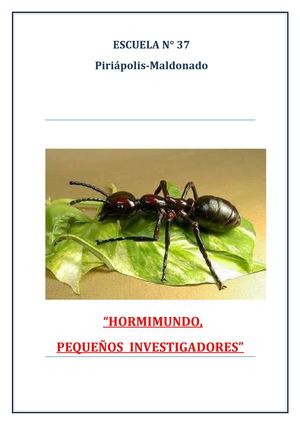 Hormimundo pequeños investigadores