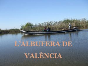 L'albufera de València
