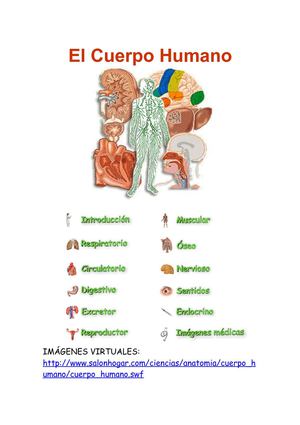 LOS APARATOS DEL CUERPO HUMANO
