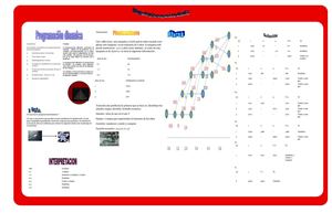 programacion dinamica