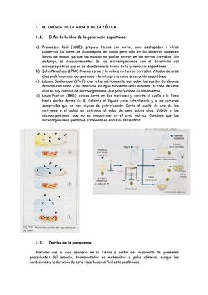 El origen de la vida y de la célula