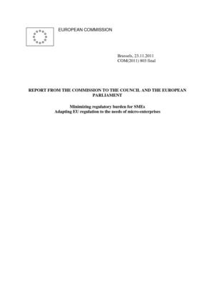 REPORT FROM THE COMMISSION TO THE COUNCIL AND THE EUROPEAN PARLIAMENT
