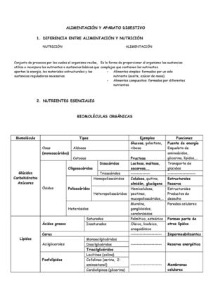 ALIMENTACIÓN Y APARATO DIGESTIVO