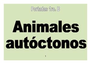 Portadas 1B