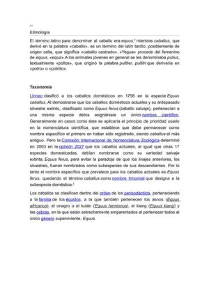 equinos