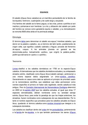 equinos