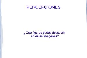 Percepciones