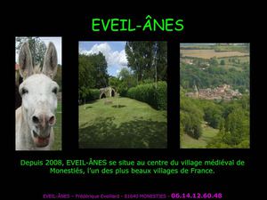 Présentation d'Eveil-ânes