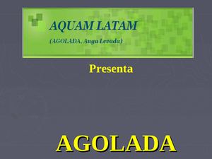 AS ORIXES DA VILA DE AGOLADA