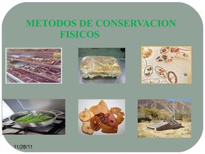 metodos de conservCION