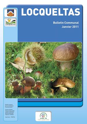 Bulletin Janvier 2011