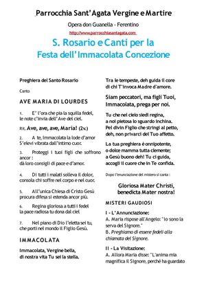 Novena Immacolata 2011