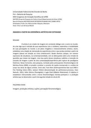 Artur Luiz de Souza Maciel A Imagem a partir da Experiência Artística no Cotidiano