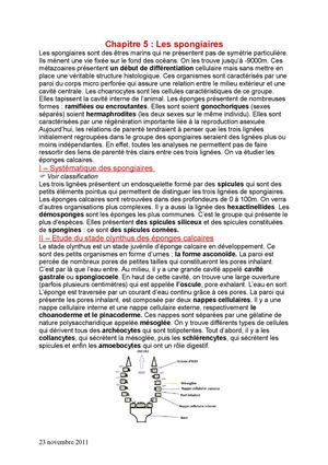 Chapitre 5 de Bio A