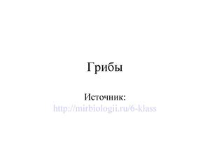 Грибы