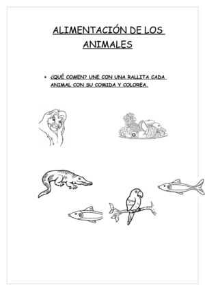 ALIMENTACIÓN DE LOS ANIMALES