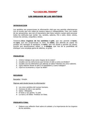 Los organos de los sentidos