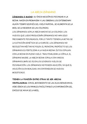 LA ABEJA ZANGANO