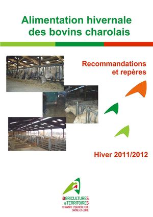 Alimentation hivernale des Bovins Charolais : Recommandations et repères