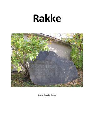 Rakke