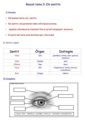 Resum per estudiar els sentits