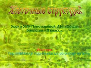 Строение клетки