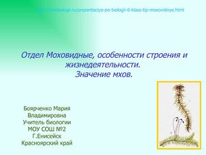Мхи, биология 6 класс